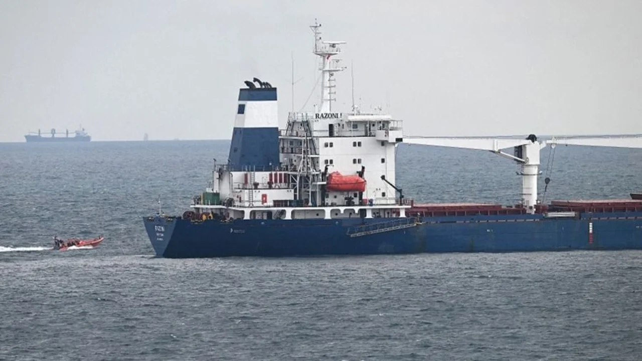 Llegó a Turquía el primer barco con granos ucranianos 