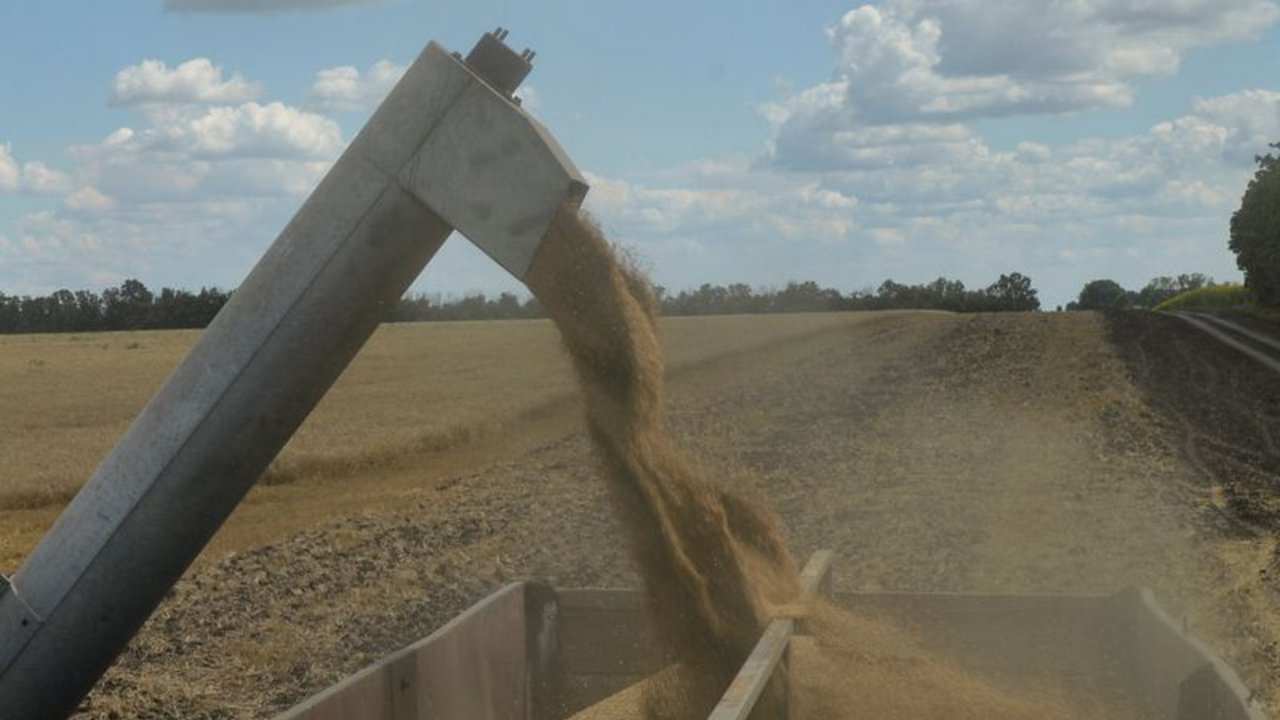 Ucrania: la cosecha de trigo llegó a las 17,4 millones de toneladas en 2022