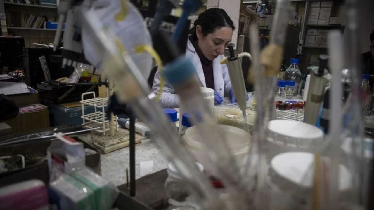 De las arañas a los caballos, cómo produce antivenenos el Malbrán