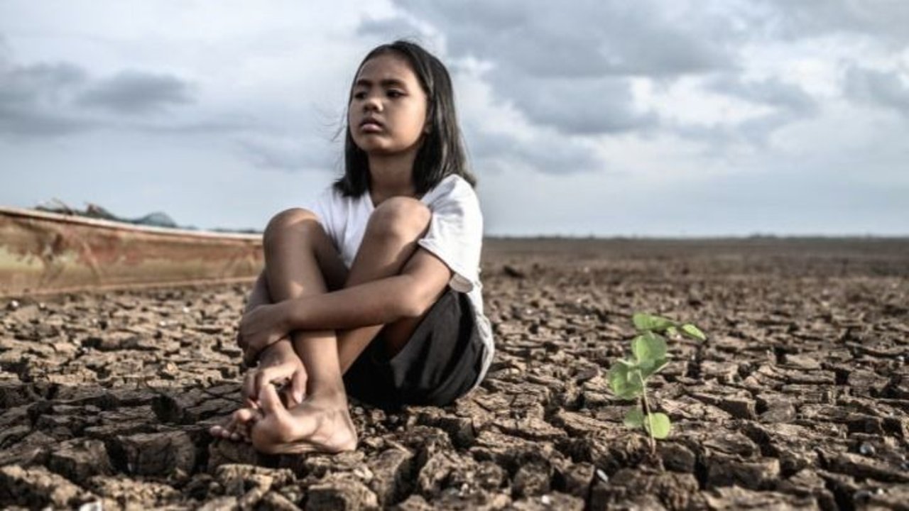 Conoce cuáles son las plantas que están en peligro de extinción en Argentina
