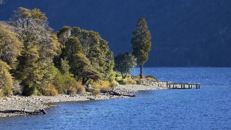 Travel Sale Argentina 2022: ofertas, descuentos y cómo participar