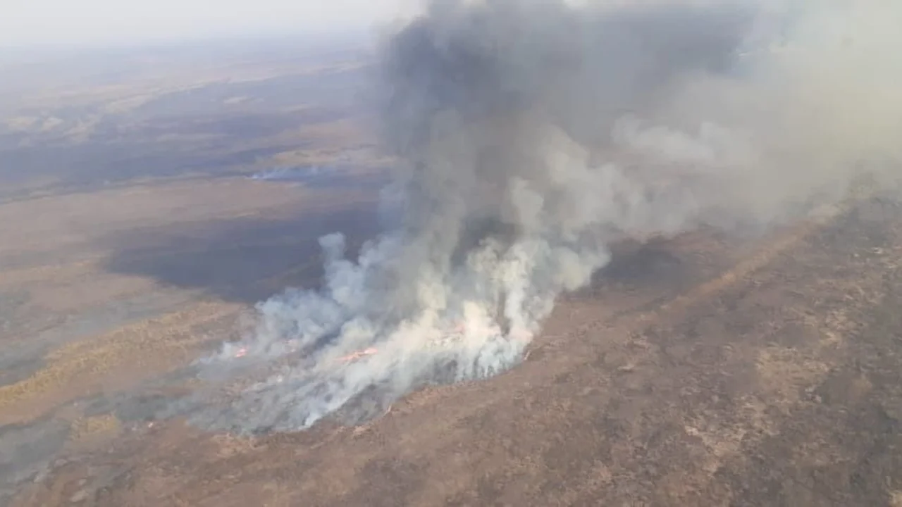 Nueve provincias registran focos activos de incendios forestales