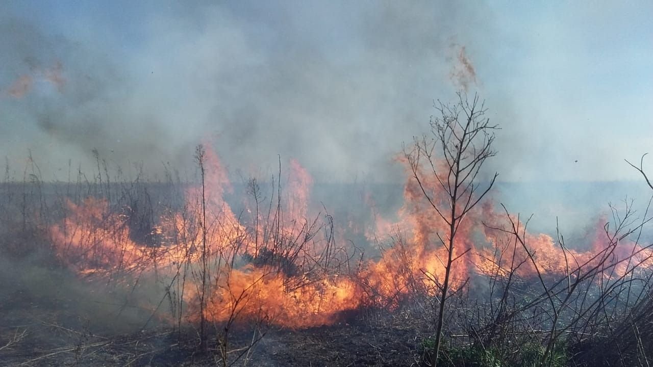 Incendios en el Delta: detuvieron a otras tres personas por provocar quemas 