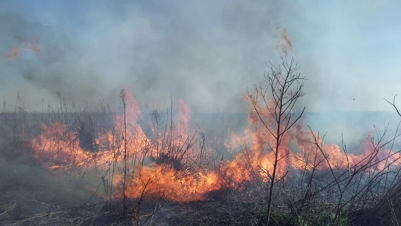 Incendios en el Delta: detuvieron a otras tres personas por provocar quemas 
