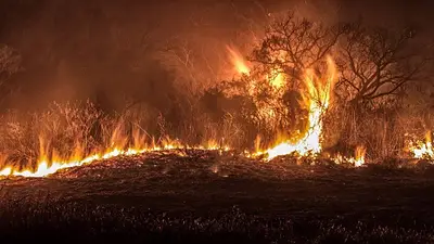 Incendios en el Delta: un alerta meteorológico que esperanza a la zona afectada Incendios en el Delta: un alerta meteorológico que esperanza a la zona afectada