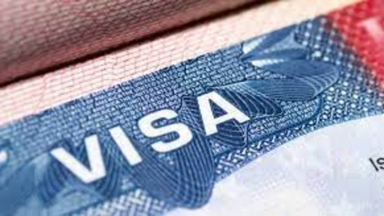 Viruela del mono en EE.UU.: ¿Cómo afecta los viajes al país?