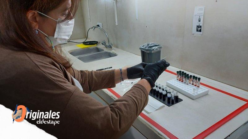 Validan una nueva técnica de diagnóstico del Chagas para detectar a recién nacidos positivos