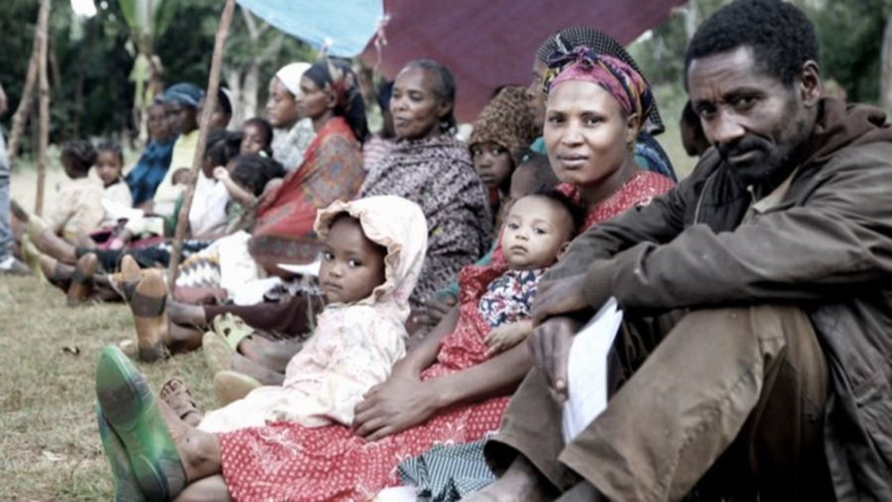 Difunden cuánto dinero necesita África para dejar de importar alimentos: supera megapréstamos del FMI