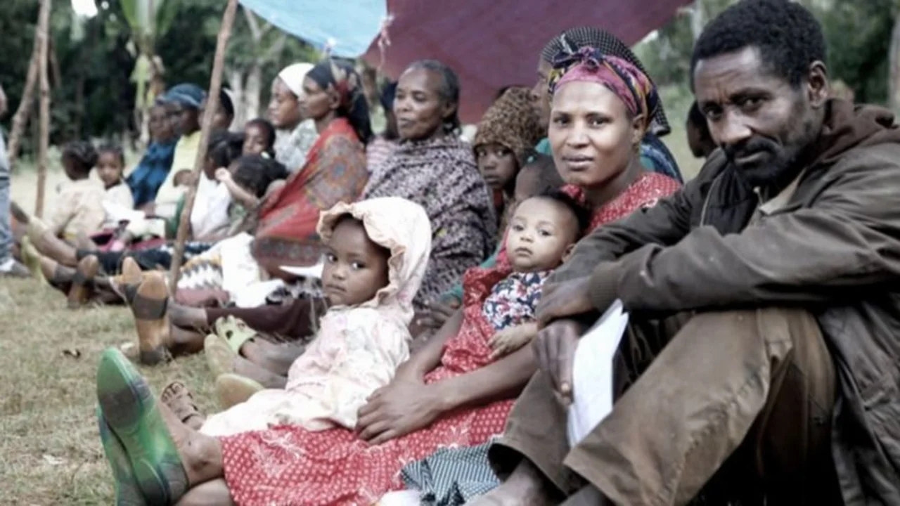 Difunden cuánto dinero necesita África para dejar de importar alimentos: supera megapréstamos del FMI