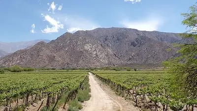 Todo lo que deberías saber acerca de Iruya, el pueblo escondido en Salta Todo lo que deberías saber acerca de Iruya, el pueblo escondido en Salta