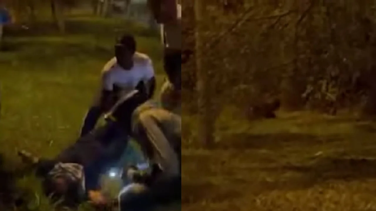 Hallaron un duende en Colombia.