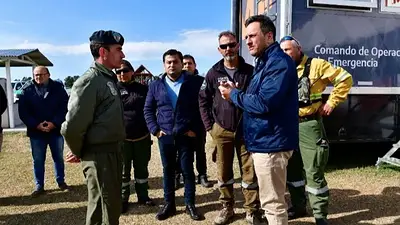 Cabandié catalogó de "delincuentes" a quienes inician el fuego en el Delta del Paraná Cabandié catalogó de "delincuentes" a quienes inician el fuego en el Delta del Paraná