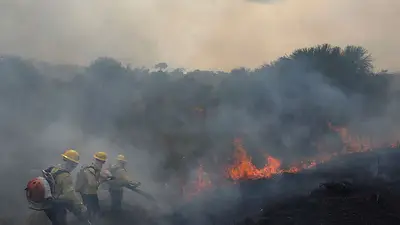 La Amazonía brasileña sufre los peores incendios de agosto en más de una década La Amazonía brasileña sufre los peores incendios de agosto en más de una década
