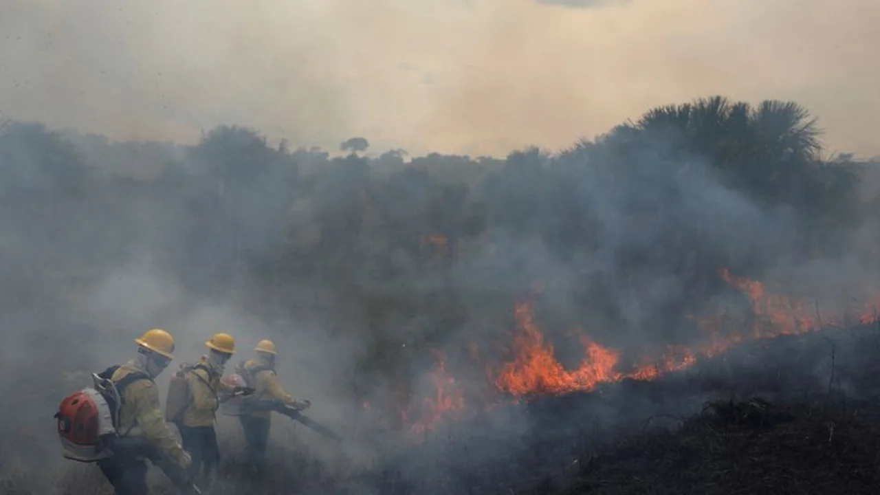 La Amazonía brasileña sufre los peores incendios de agosto en más de una década