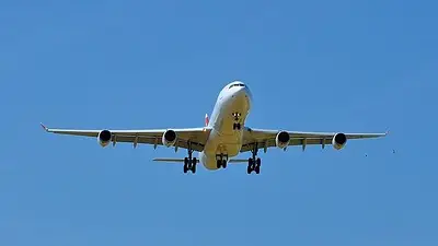 Aerolíneas Argentinas despidió a la azafata por una falsa amenaza de bomba Aerolíneas Argentinas despidió a la azafata por una falsa amenaza de bomba