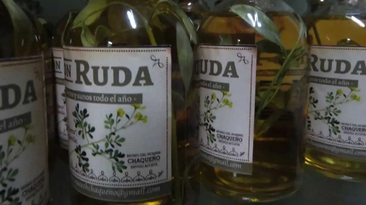 Caña con ruda 