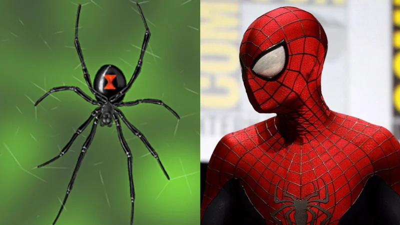 Araña. Spider-Man
