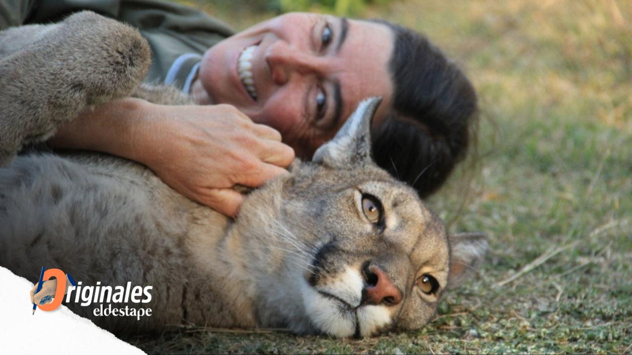 Es hija de un cazador arrepentido y hoy convive con 20 pumas en una casa-pozo 