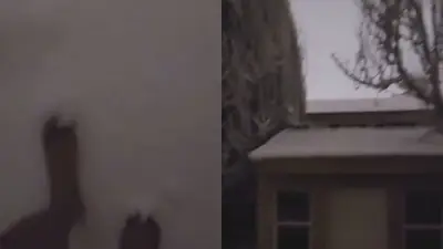 Nieve y 10 grados bajo cero en Argentina. Cambio climático en Argentina. Nieve y 10 grados bajo cero en Argentina. Cambio climático en Argentina.