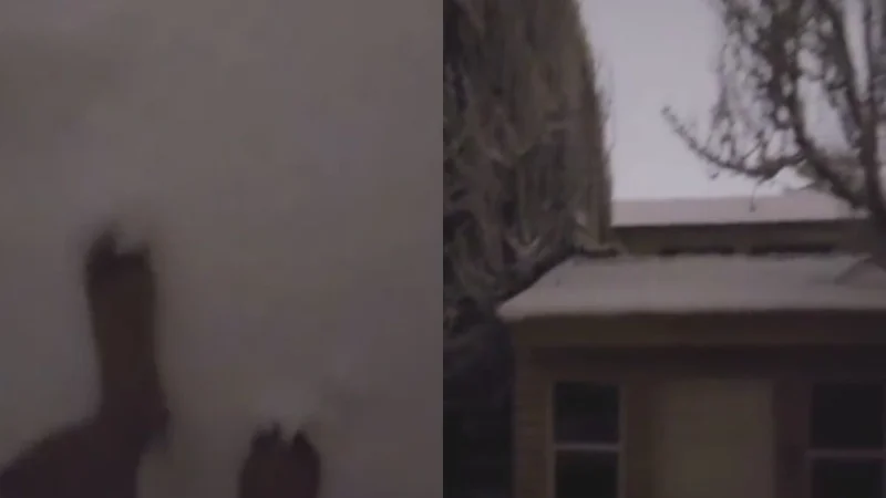 Nieve y 10 grados bajo cero en Argentina. Cambio climático en Argentina.