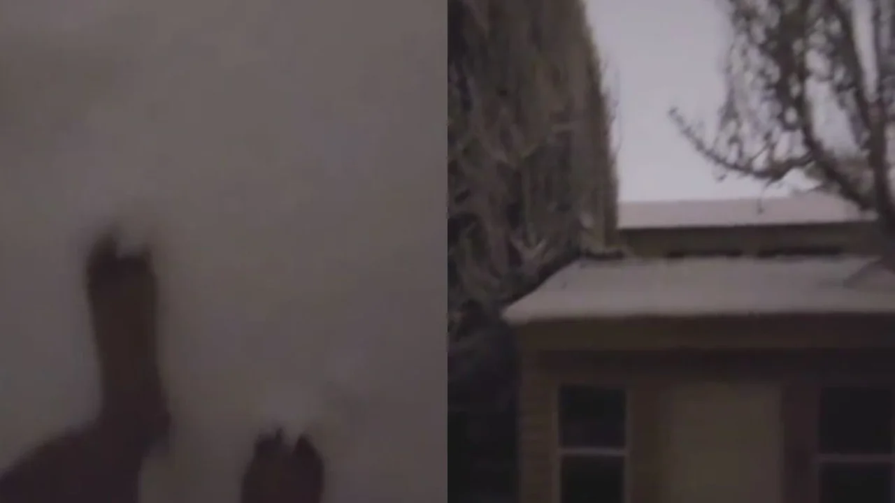Nieve y 10 grados bajo cero en Argentina. Cambio climático en Argentina.
