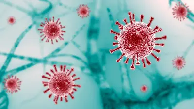 Coronavirus Coronavirus