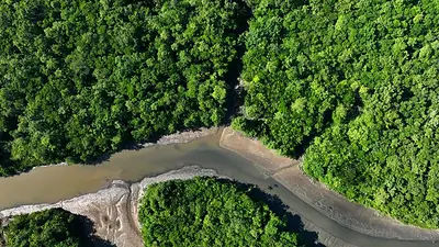 Amazonas en Brasil Amazonas en Brasil