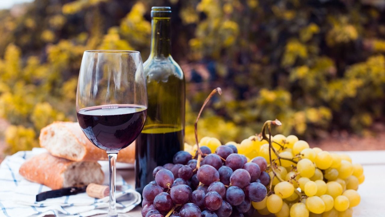 Festival de vino