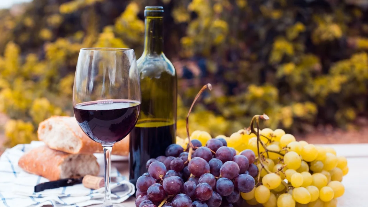 Festival de vino