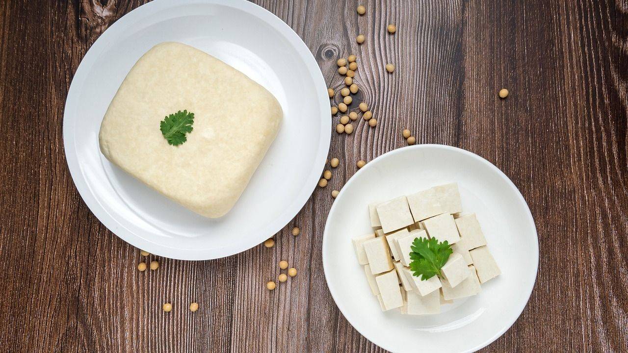 Tofu
