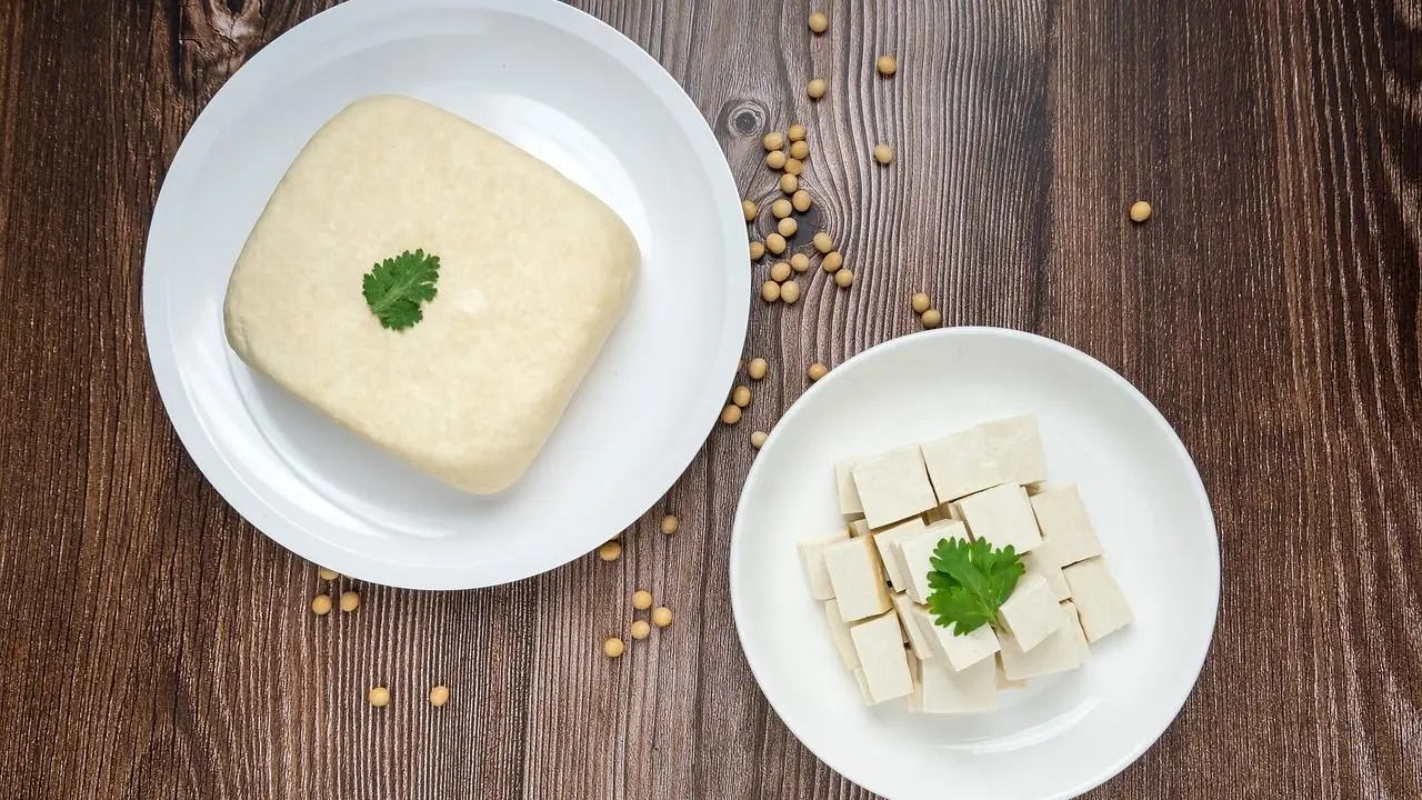 Tofu