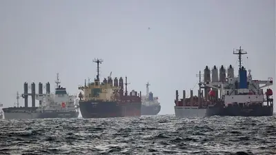 Barcos graneleros a la espera de ser inspeccionados en el marco de la Iniciativa de los Granos del Mar Negro, auspiciada por las Naciones Unidas y Turquía. Foto: Yoruk Isik / REUTERS. Barcos graneleros a la espera de ser inspeccionados en el marco de la Iniciativa de los Granos del Mar Negro, auspiciada por las Naciones Unidas y Turquía. Foto: Yoruk Isik / REUTERS.