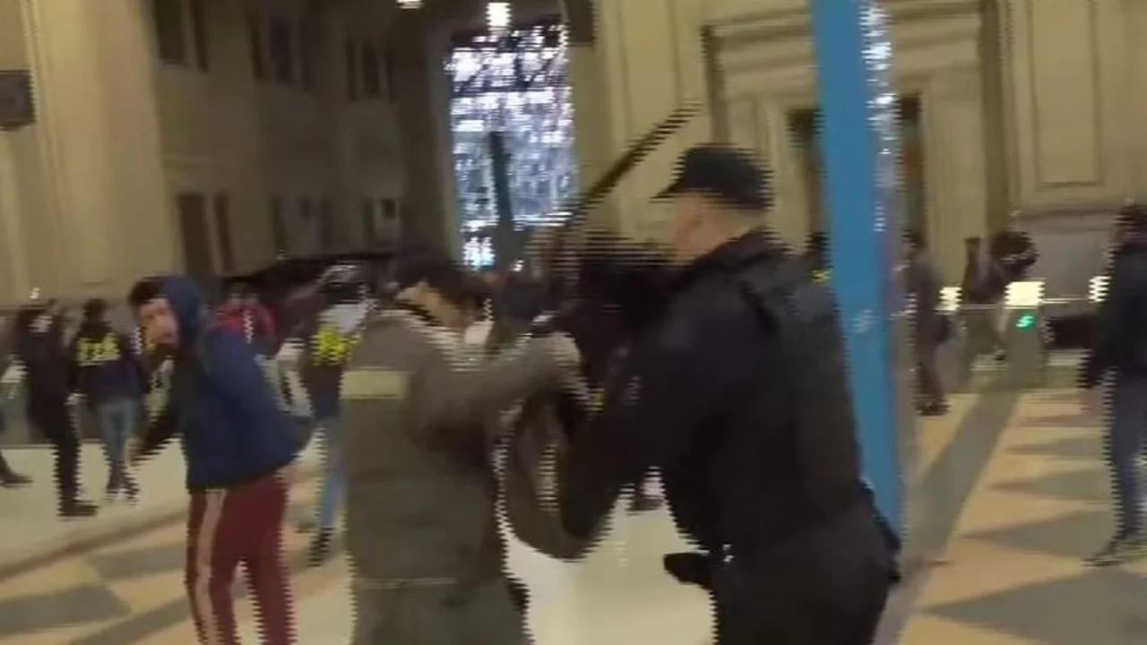Feroz golpiza policial a un pasajero adentro de la estación Constitución