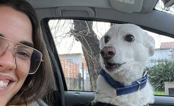 Se encontró con su perra en la calle y su historia se volvió viral | Historias de vida