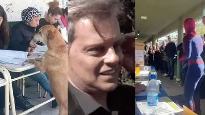 Los memes de las PASO Los memes de las PASO