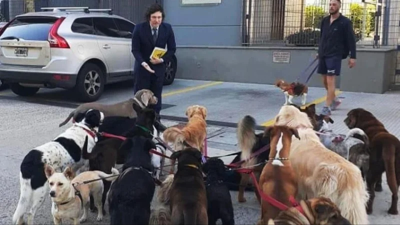 Javier Milei y algunos de sus perros