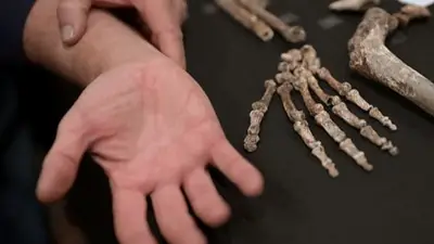 Dura 94 minutos y es un éxito en Netflix: el brutal documental para ver. Dura 94 minutos y es un éxito en Netflix: el brutal documental para ver.