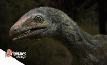 Descubren una pieza que ilumina el rompecabezas de los reptiles voladores | Ciencia 