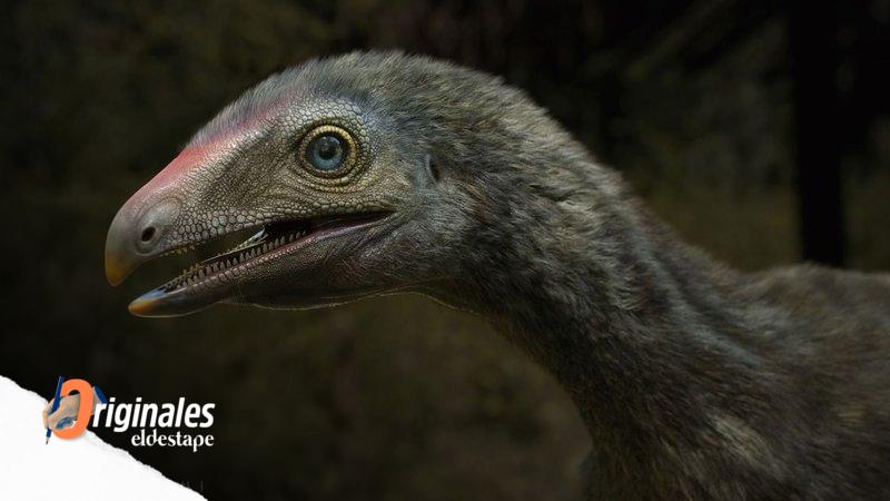 Descubren una pieza que ilumina el rompecabezas de los reptiles voladores