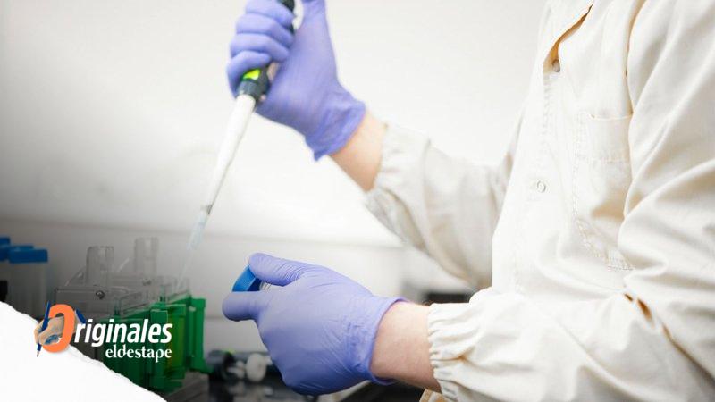 Made in Argentina: desarrollarán fármacos contra el cáncer y la esclerosis múltiple