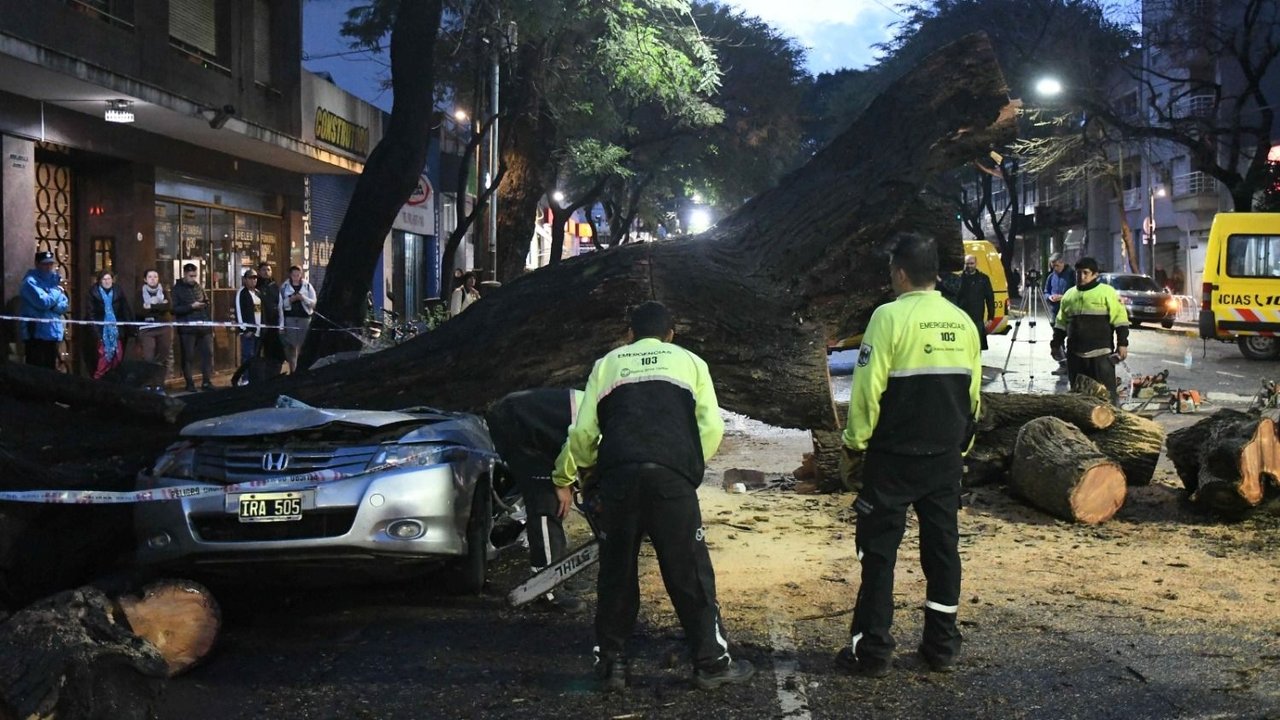 Temporal en la Ciudad: procolo de alerta y reclamos por urbanización