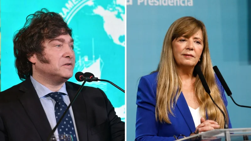 Saqueos: Cerruti apuntó a Javier Milei 