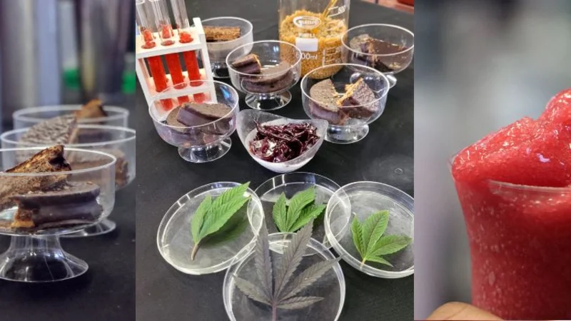 Los beneficios de la comida con cannabis.