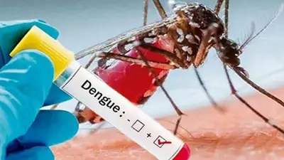 Dengue Dengue