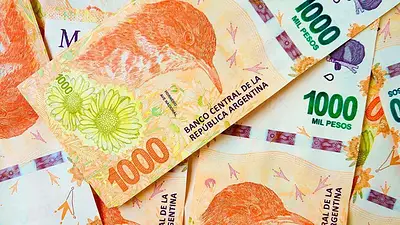 Al menos siete provincias no pagarán la suma fija de $60.000 anunciada por Massa Al menos siete provincias no pagarán la suma fija de $60.000 anunciada por Massa