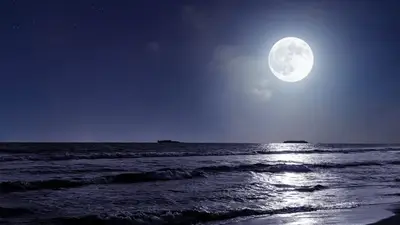 Luna llena de agosto 2023: cuándo ver el fenómeno de superluna azul. Luna llena de agosto 2023: cuándo ver el fenómeno de superluna azul.