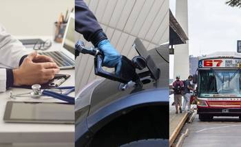 Dónde golpeó más el modelo Milei: los servicios y las prepagas, al tope de los aumentos | Crisis económica