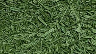 Espirulina Espirulina