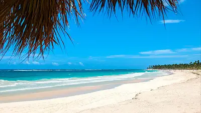 Punta Cana Punta Cana