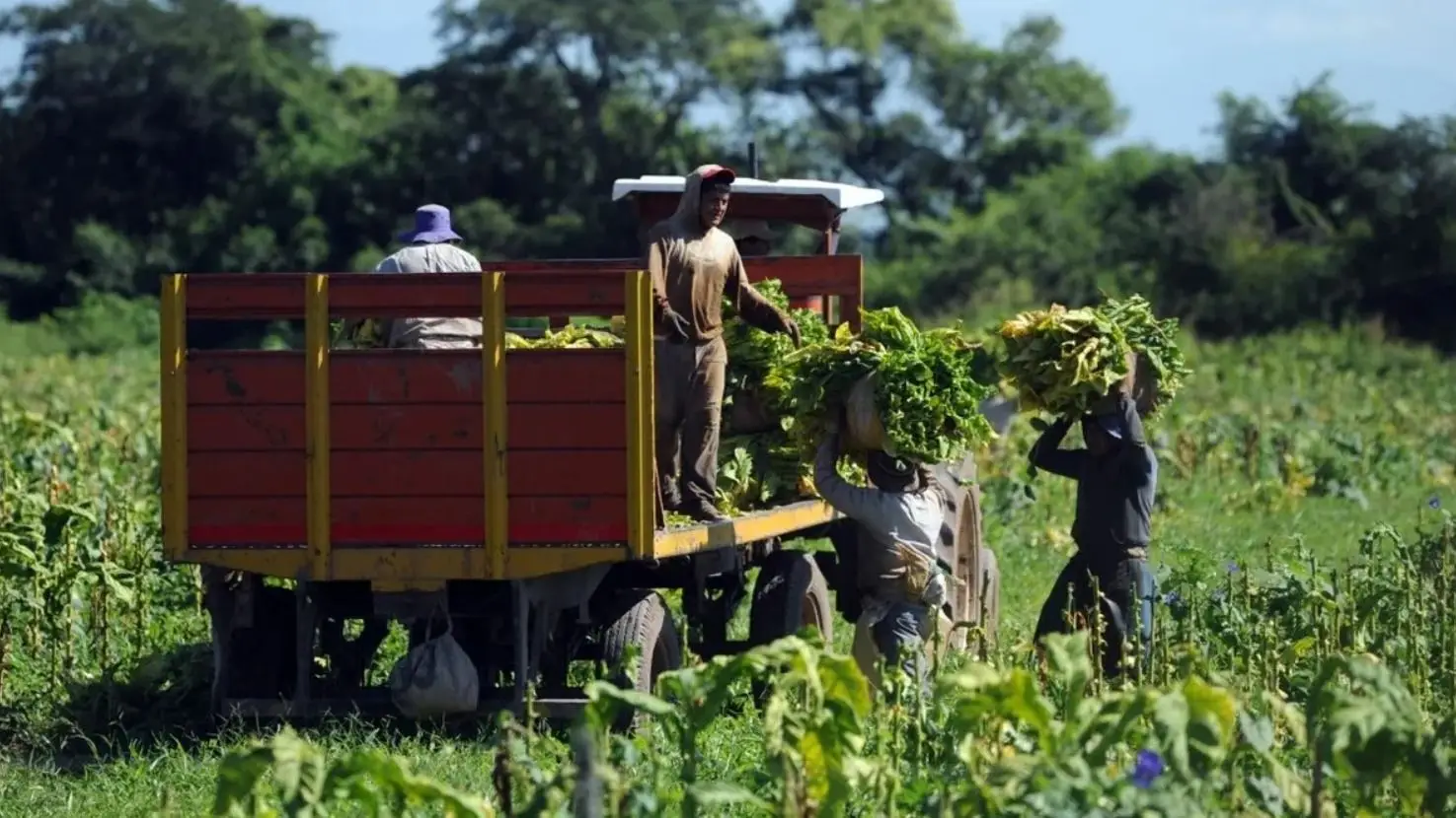 trabajadores rurales